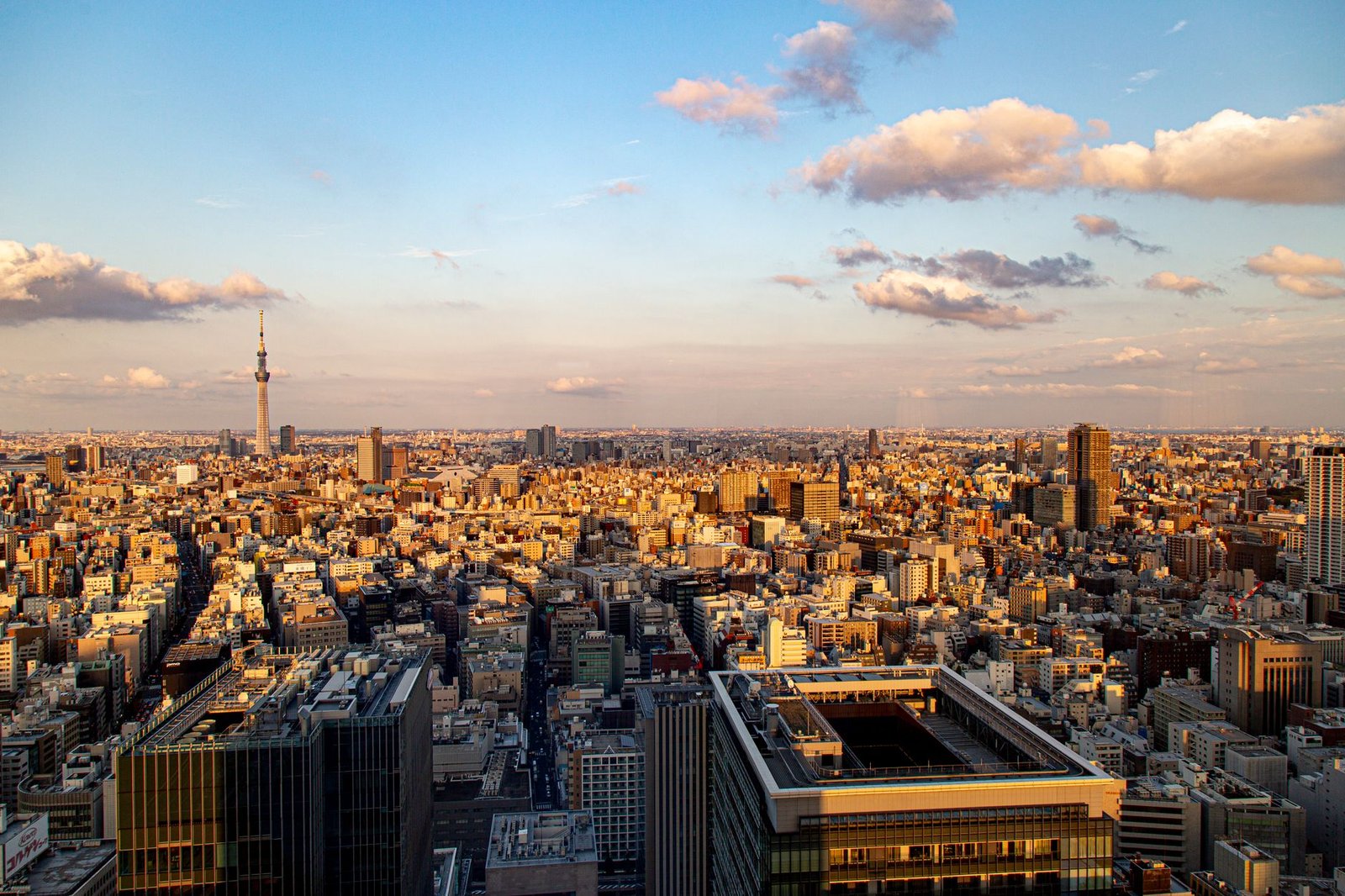 Where to Stay in Tokyo: Pick Your Base by Train Line (2026)